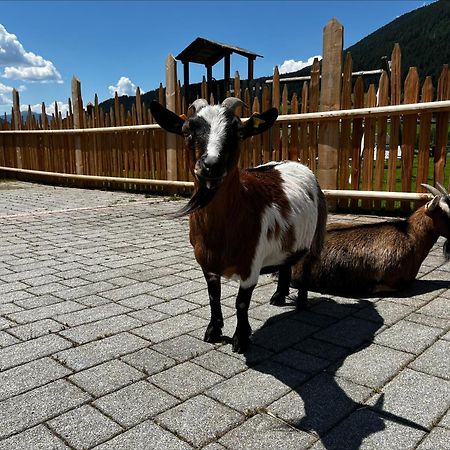 Апартаменты Pichlerhof Planca di Sopra Экстерьер фото
